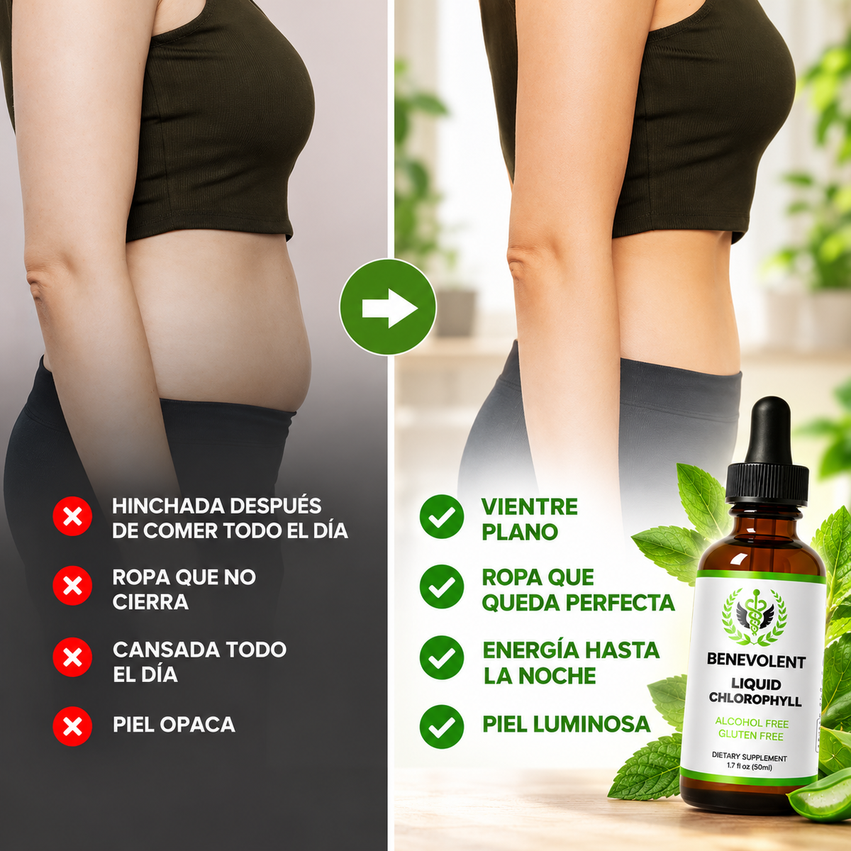 Gotas de Clorofila Benevolent® | Desintoxicación Natural 60ml
