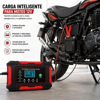 🔋 Cargador Inteligente de Batería 12V / 24V