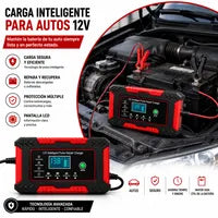 🔋 Cargador Inteligente de Batería 12V / 24V